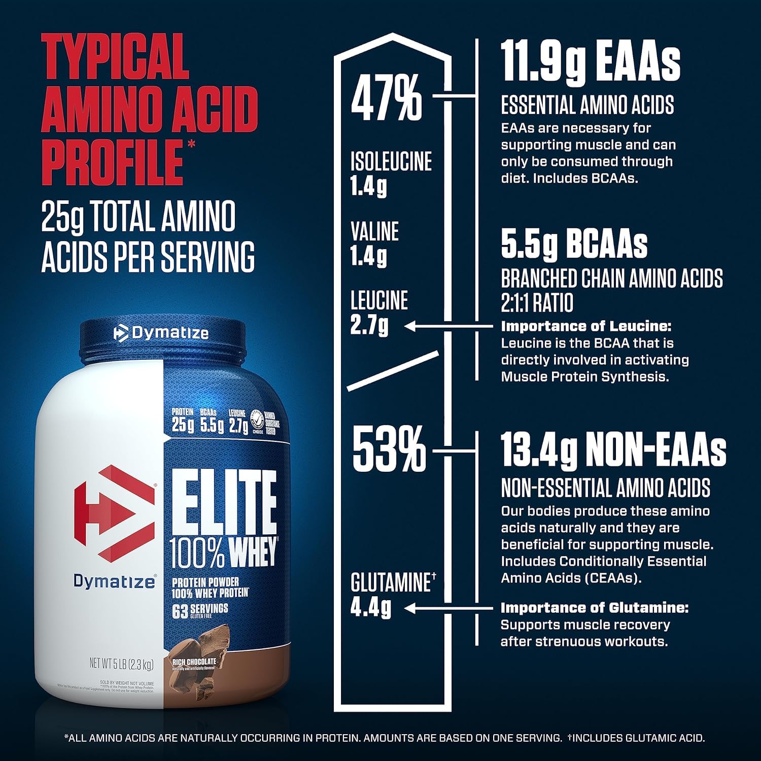 DYMATIZE NUTRITION ELITE WHEY PROTEIN POWDER RICH CHOCOLATE 5LBS