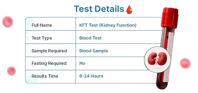 KIDNEY FUNCTION TEST