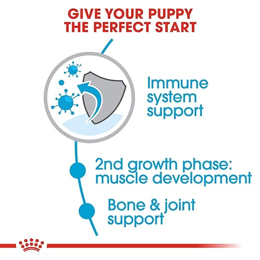 ROYAL CANIN GIANT JUNIOR SEEDS DOG FOOD, MEAT FLAVOUR, 15 KG