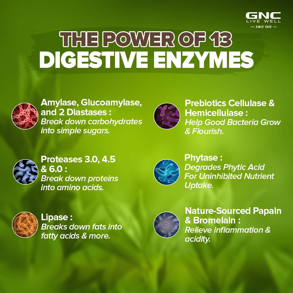 GNC SUPER DIGESTIVE ENZYMES PREBIOTICS & 11 POTENT ENZYMES 100 VEG CAPSULES