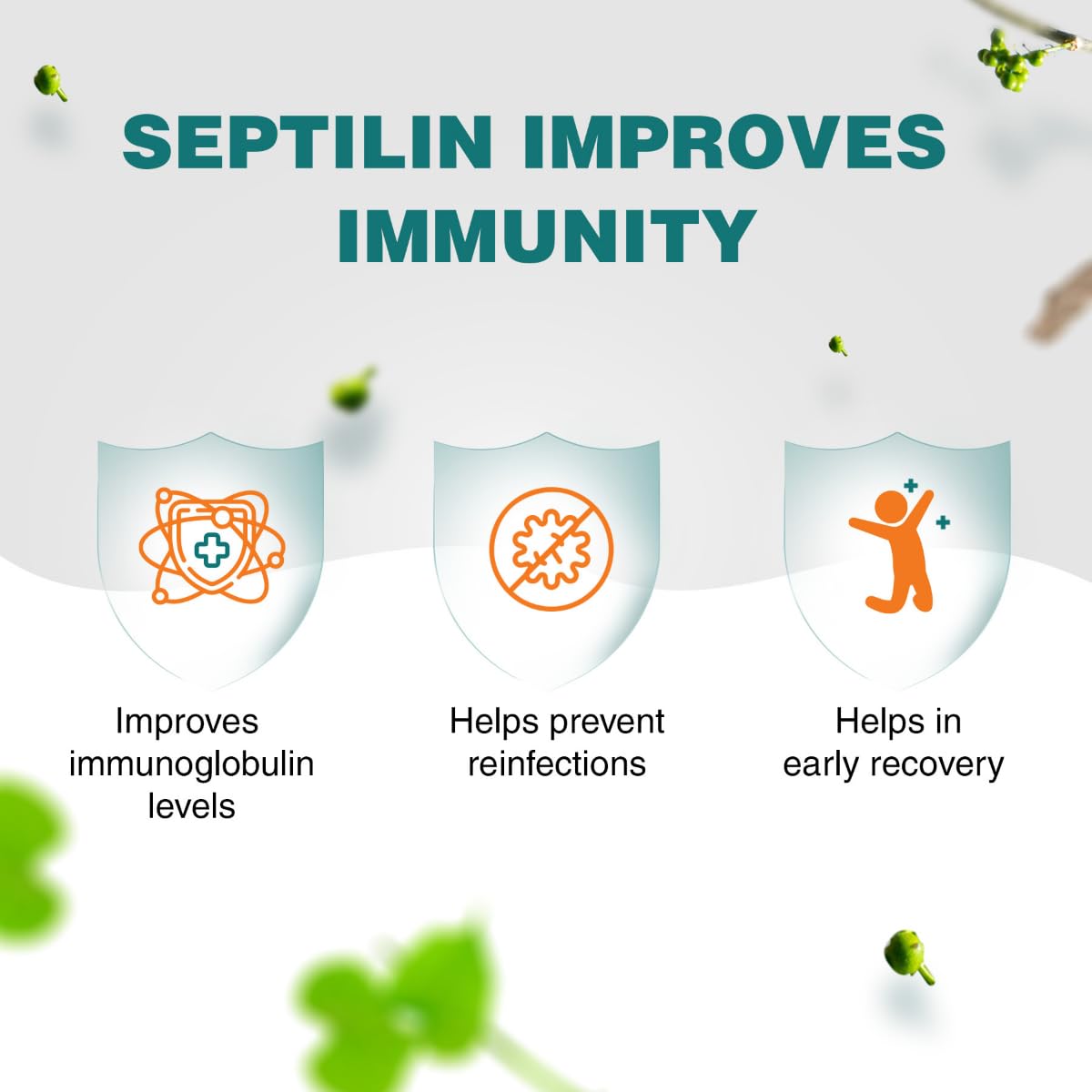SEPTILIN TAB 1X60TAB