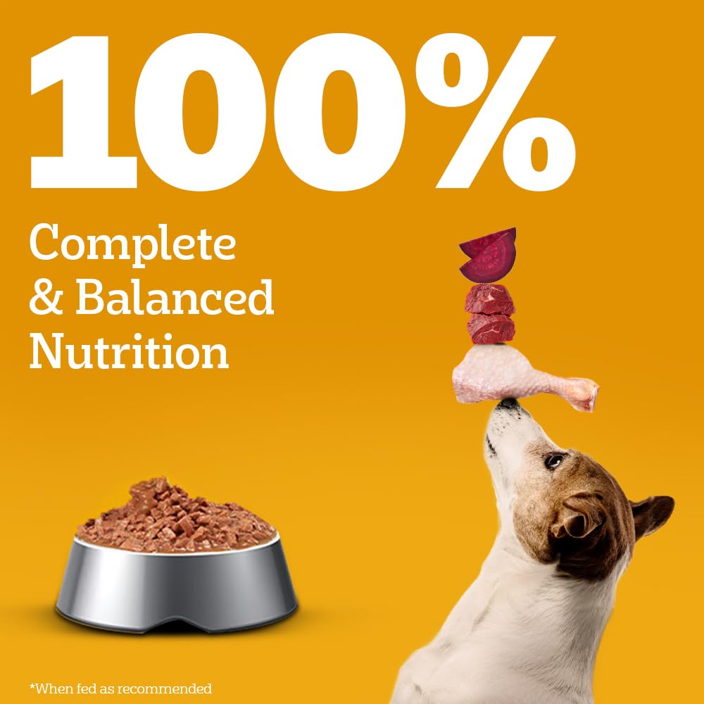 PEDIGREE ADULT WET DOG FOOD, CHICKEN & LIVER CHUNKS IN GRAVY, 130GM