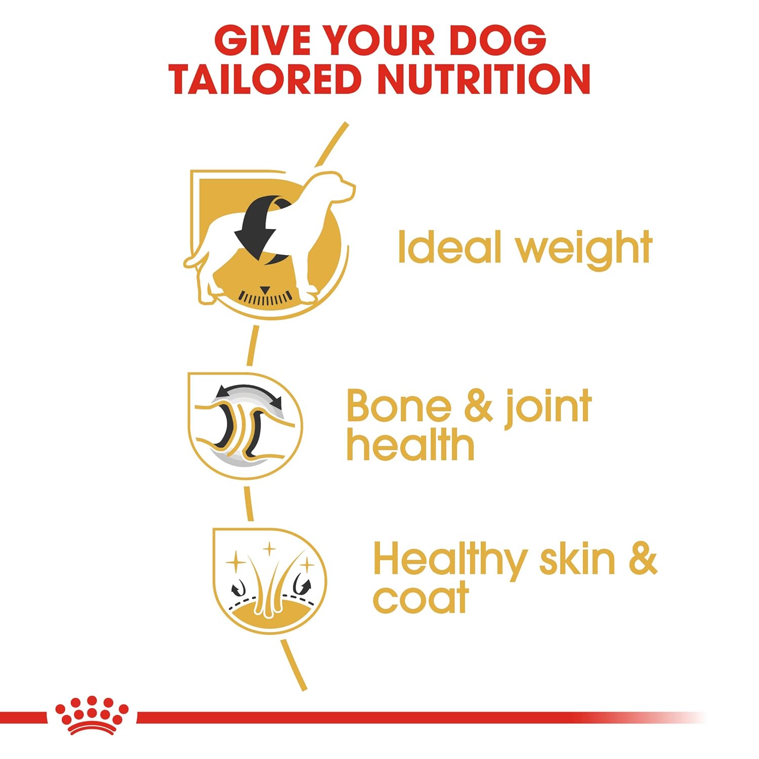 ROYAL CANIN ADULT LABRADOR MEAT FLAVOUR PELLET DOG FOOD, 3KG