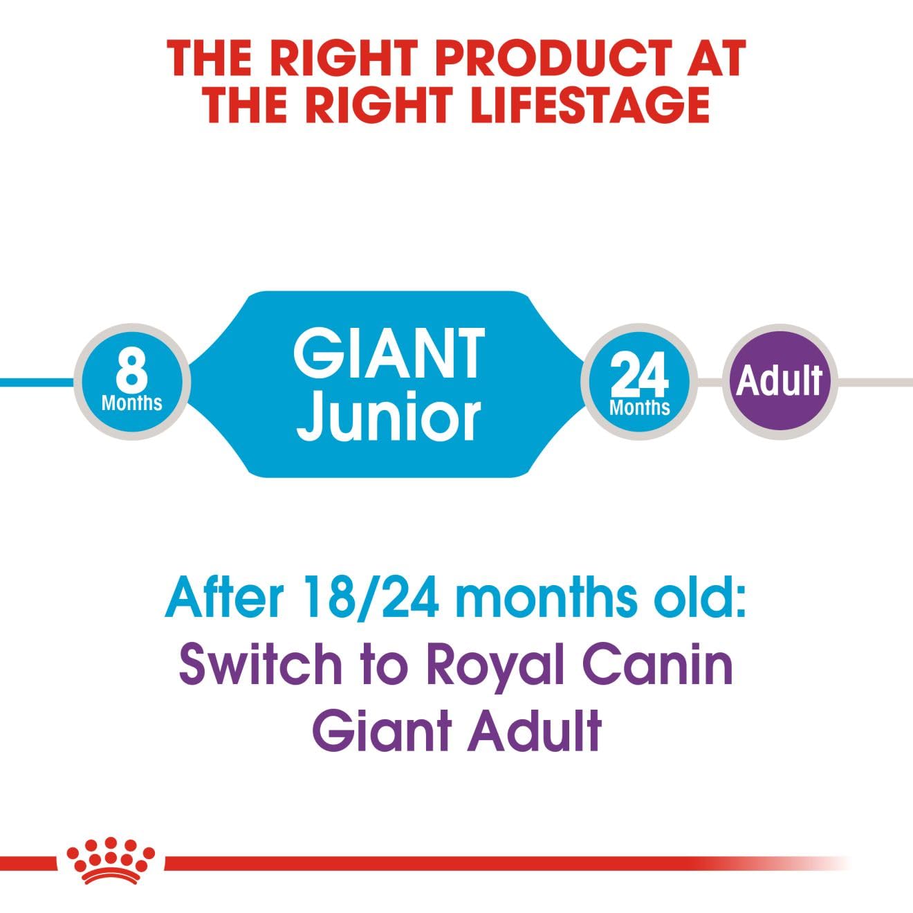 ROYAL CANIN GIANT JUNIOR DRY DOG FOOD, CHICKEN, 3.5 KG
