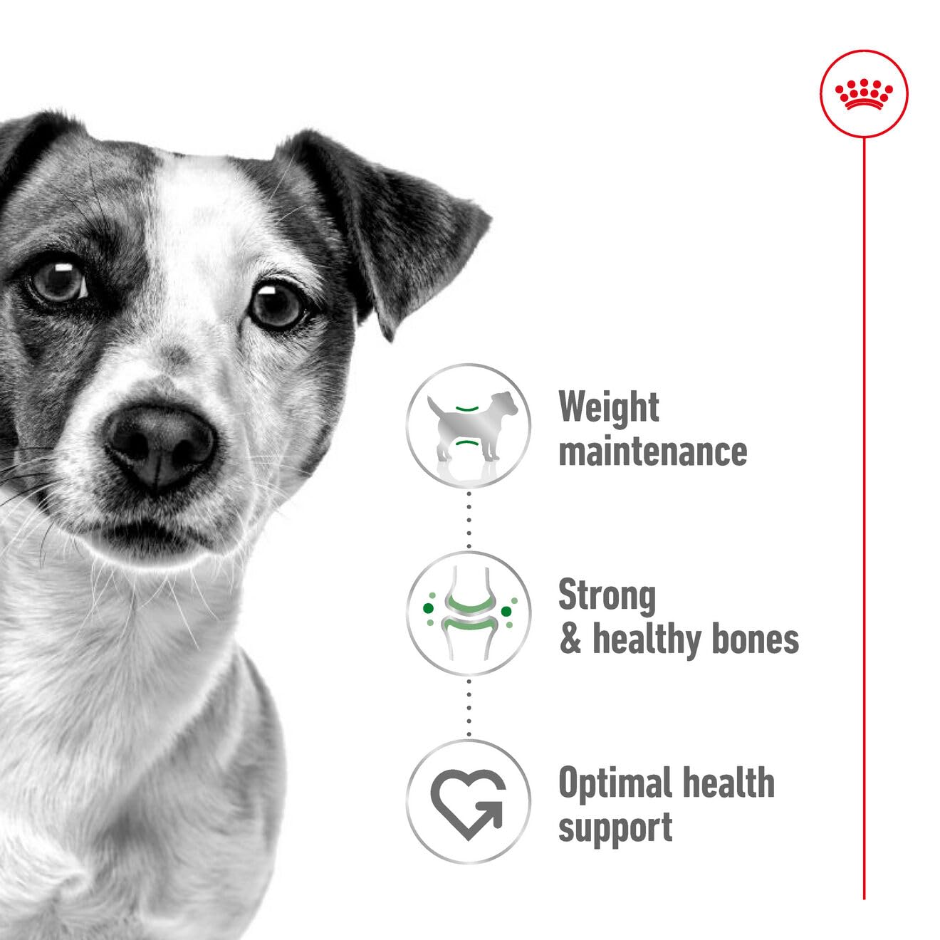 ROYAL CANIN MINI ADULT PELLET DOG FOOD, CHICKEN 4 KG