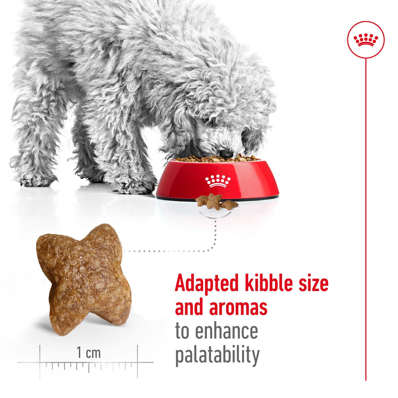 ROYAL CANIN MINI ADULT PELLET DOG FOOD, CHICKEN 4 KG