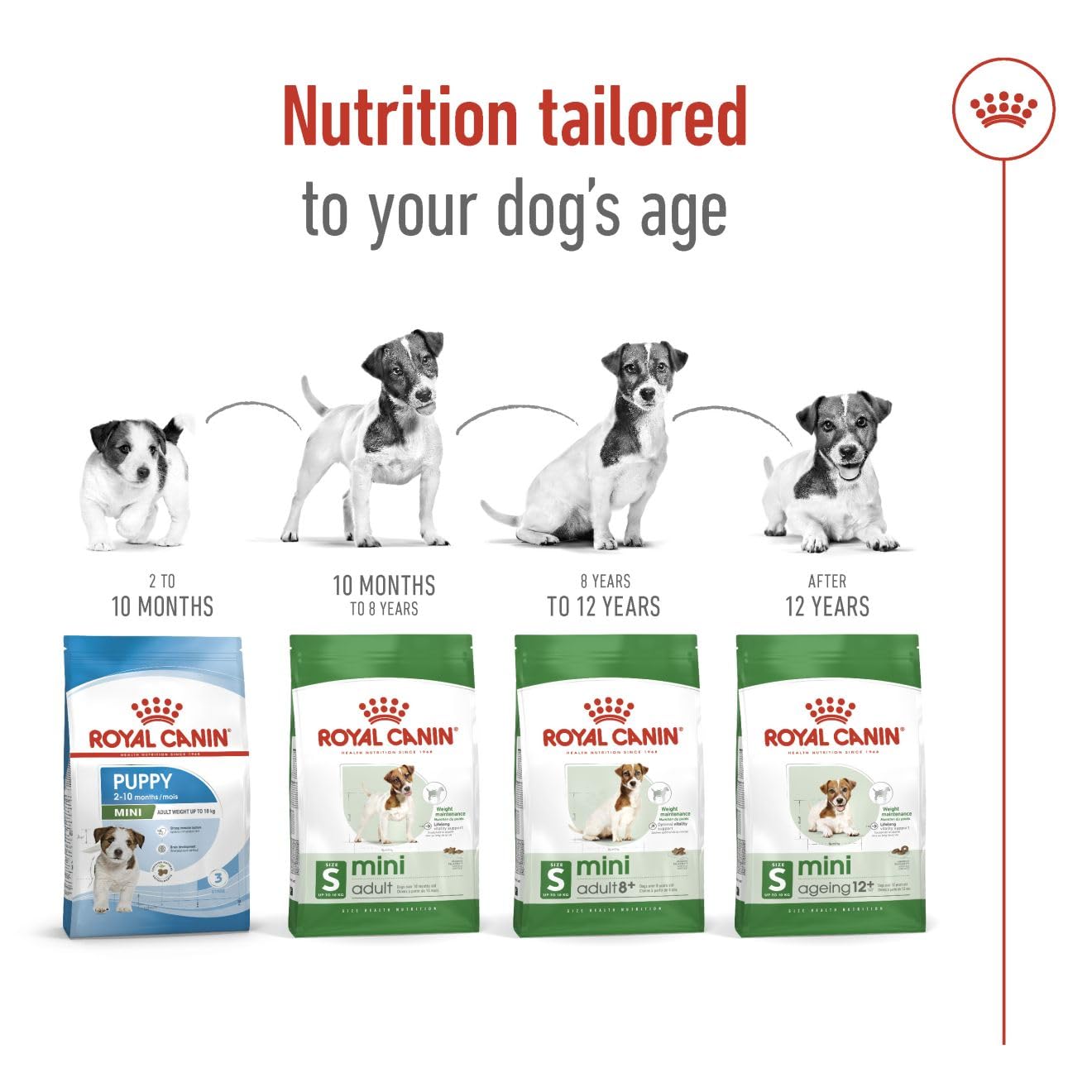 ROYAL CANIN MINI ADULT PELLET DOG FOOD, CHICKEN 4 KG
