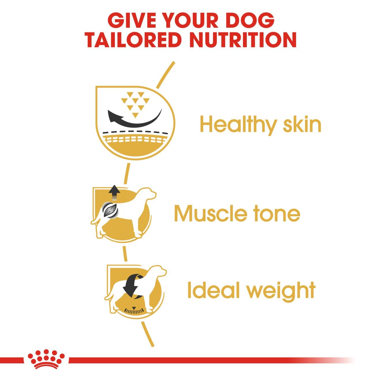 ROYAL CANIN PUG ADULT , 1.5 KG