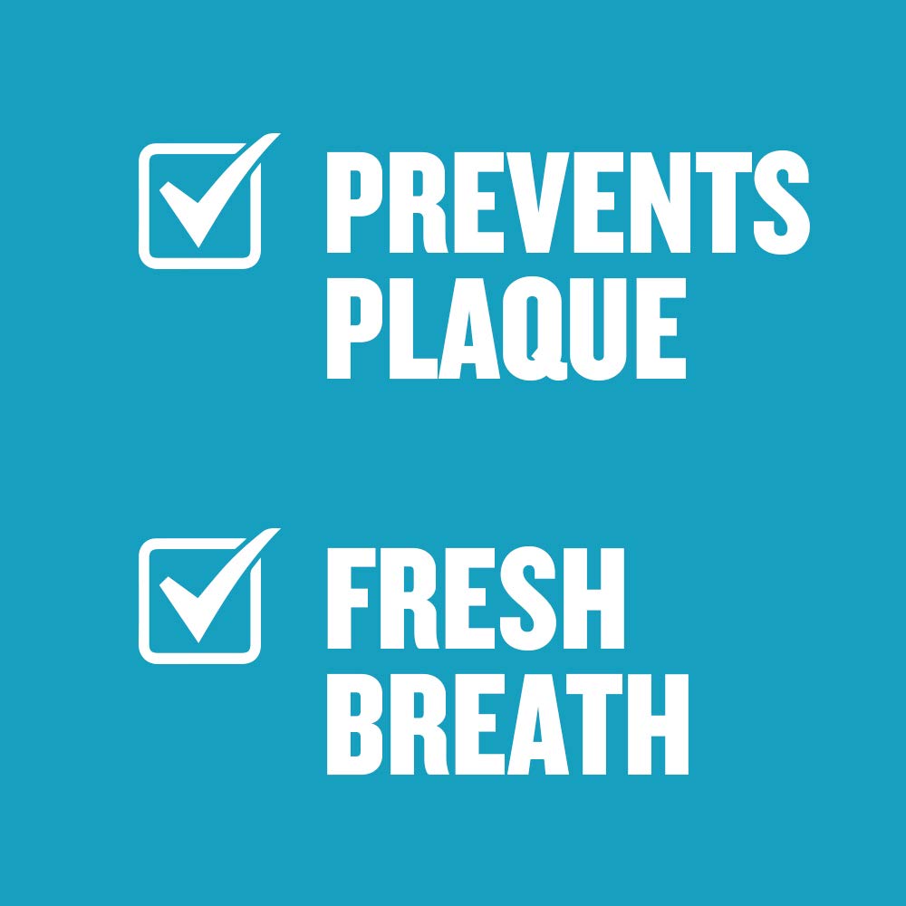 LISTERINE FRESH BRUST MOUTHWASH 500ML