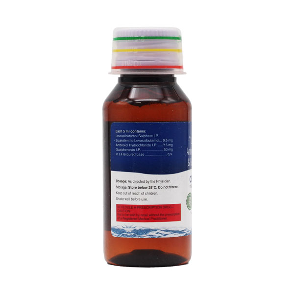 CHESTON LS JUNIOR SYRUP MANGO SUGAR FREE