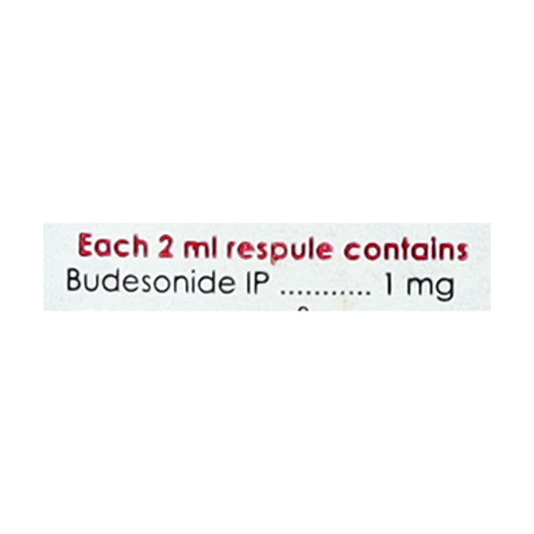 BUDECORT 1MG RESPULES (2ML EACH)