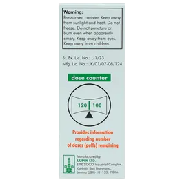 FORMOFLO 250MG TRANSHALER