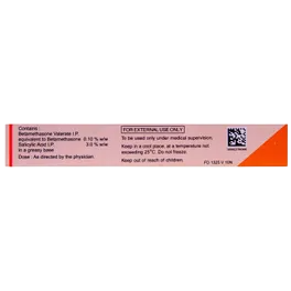 BETNOVATE S SKIN OINT 20GM