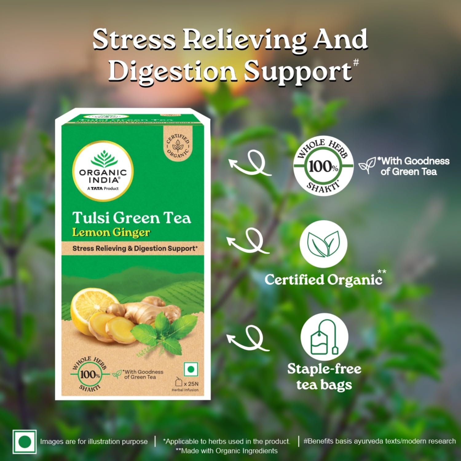 ORGANIC INDIA TULSI GREEN TEA LEMON GINGER - SUPPORTS DIGESTION, REFRESHING TASTE, 25 TEA BAGS