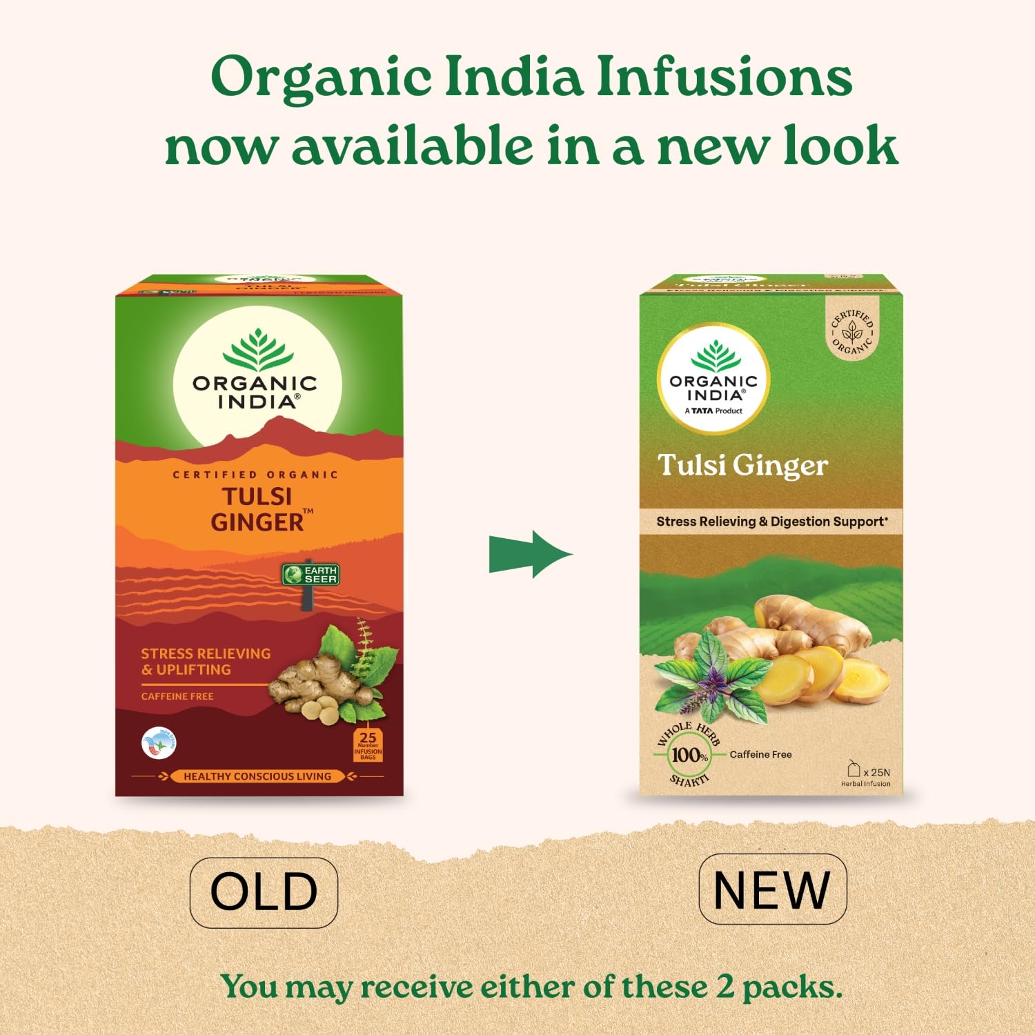 ORGANIC INDIA INFUSION TEA BAGS - TULSI GINGER, 25 BAGS