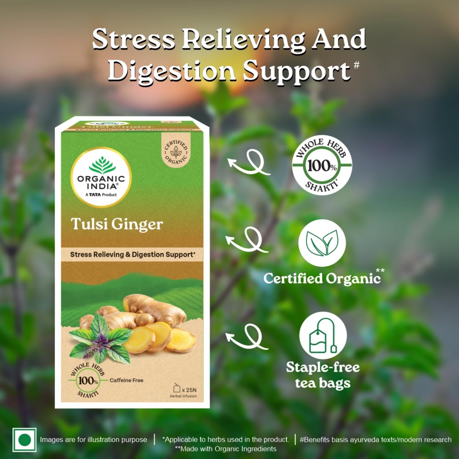 ORGANIC INDIA INFUSION TEA BAGS - TULSI GINGER, 25 BAGS