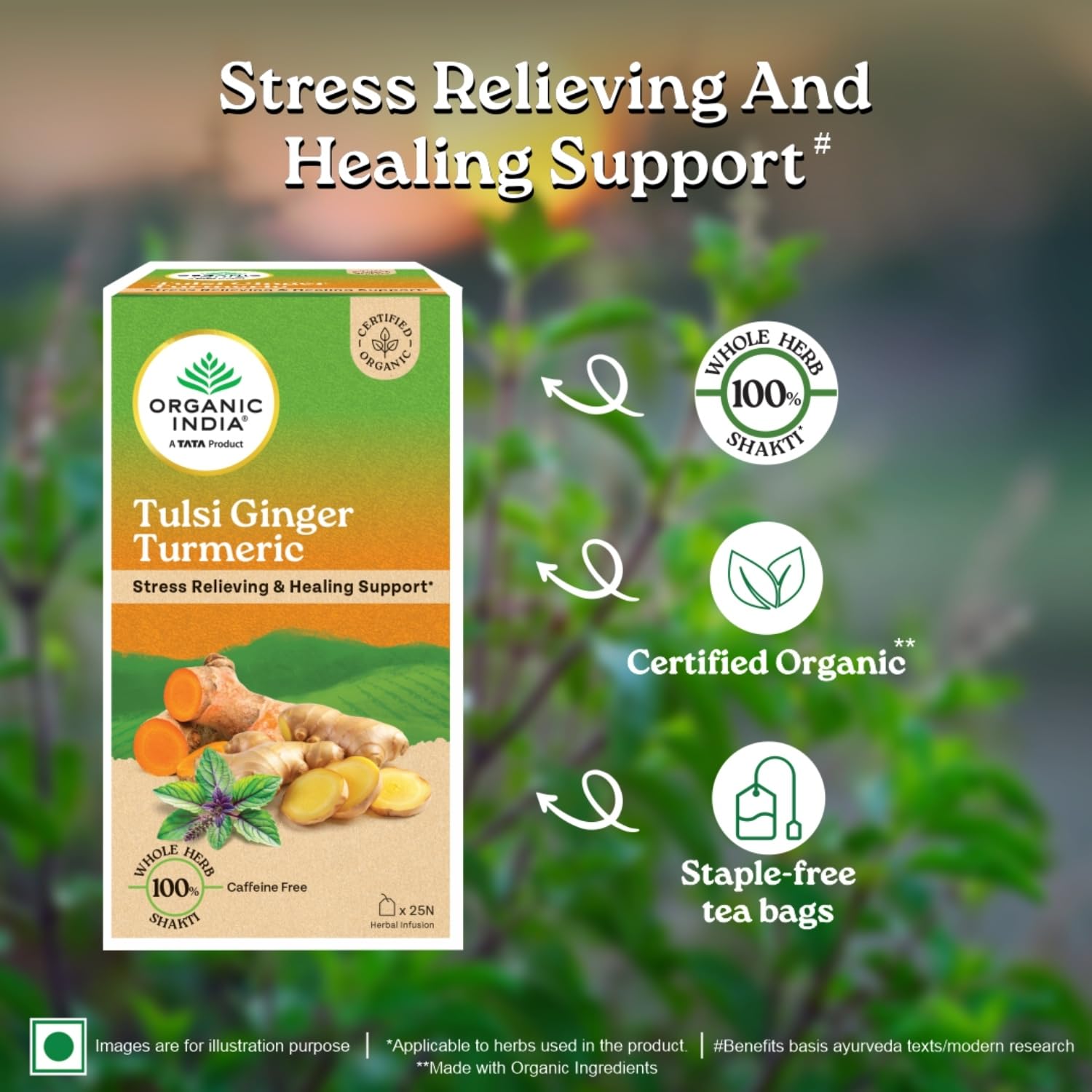 ORGANIC INDIA TULSI GINGER TURMERIC - 25 TEA BAGS