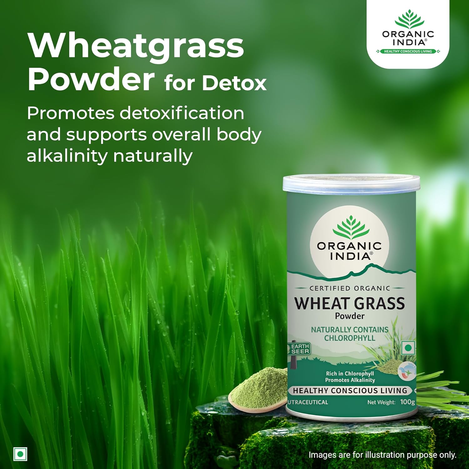 ORGANIC INDIA WHEAT GRASS POWDER- 100 GM