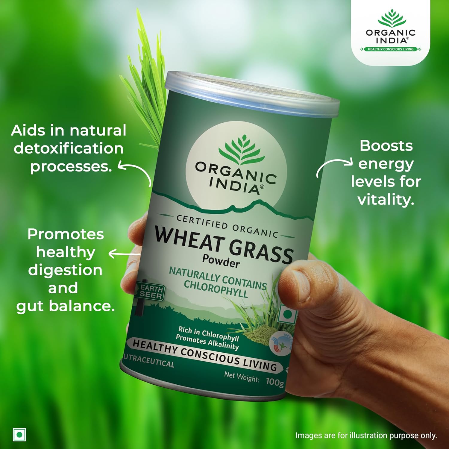 ORGANIC INDIA WHEAT GRASS POWDER- 100 GM