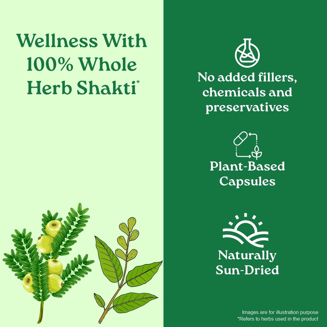 ORGANIC INDIA TRIPHALA CAPSULES SUPPORTS IMMUNE SYSTEM, COLON & DIGESTION,& GUT HEALTH 60 CAPSULES