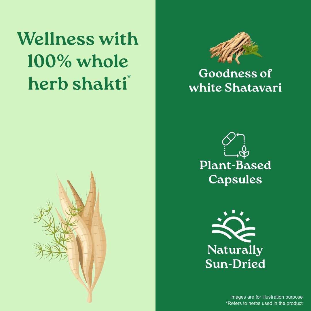 ORGANIC INDIA SHATAVARI WITH PLANT BASED ESTROGENS, HELPS BOOSTS HEALTH 60 CAPSULES