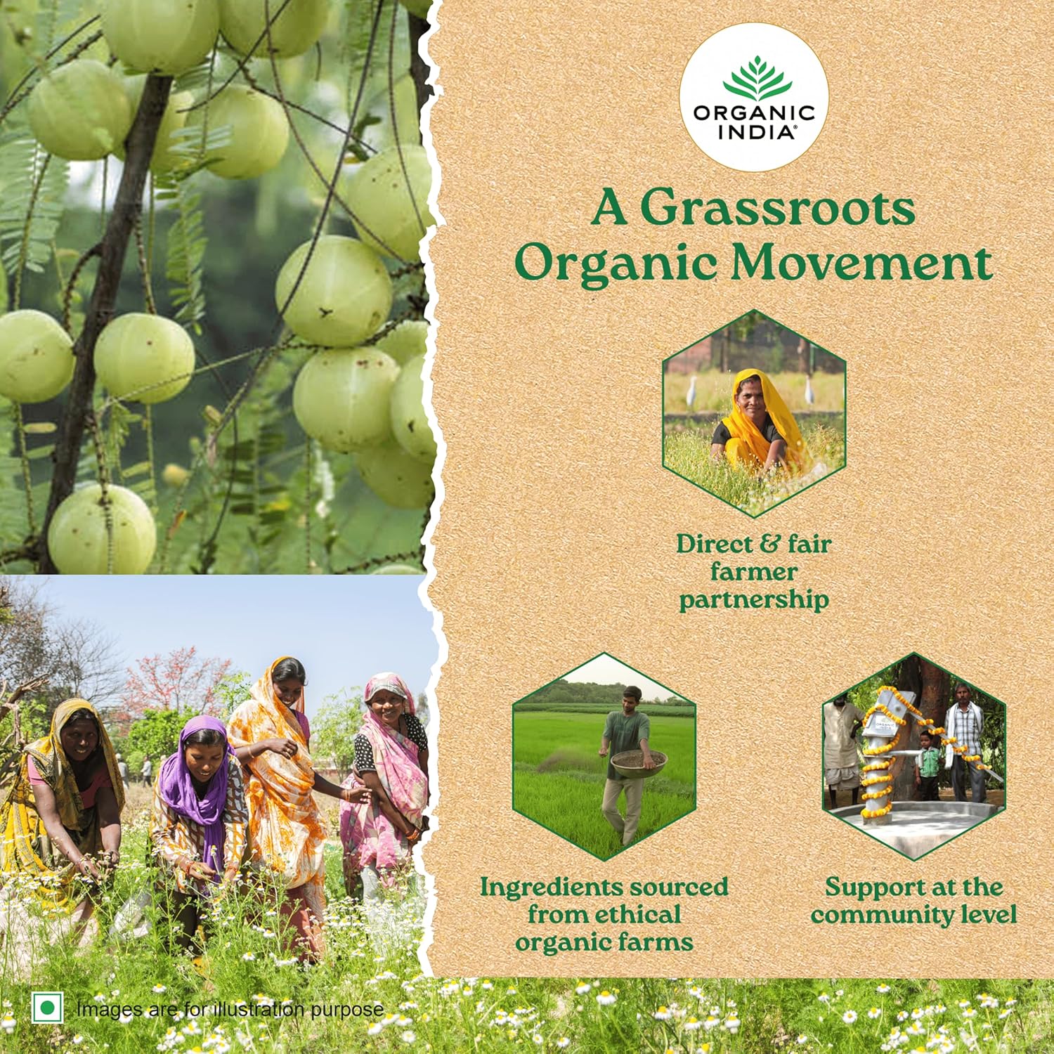 ORGANIC INDIA MORINGA ESSENTIAL NUTRITION -PACK OF 60 VEG CAPSULES