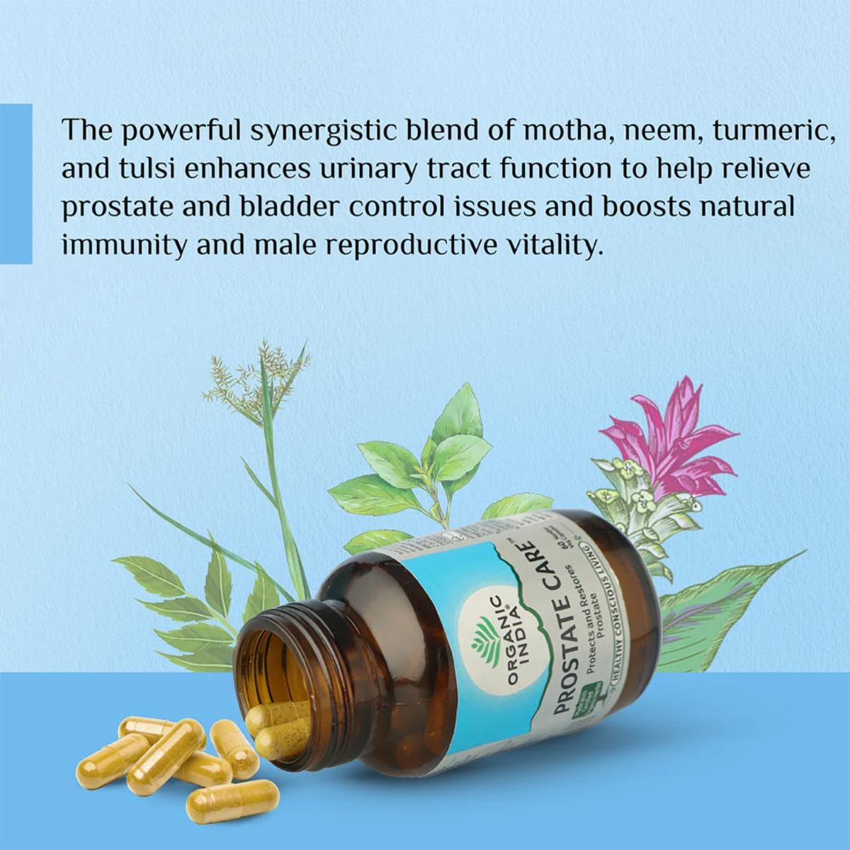 ORGANIC INDIA PROSTATE CARE  SUPPORTS HEALTHY PROSTATE & URINARY TRACT FUNCTION 60 CAPSULES